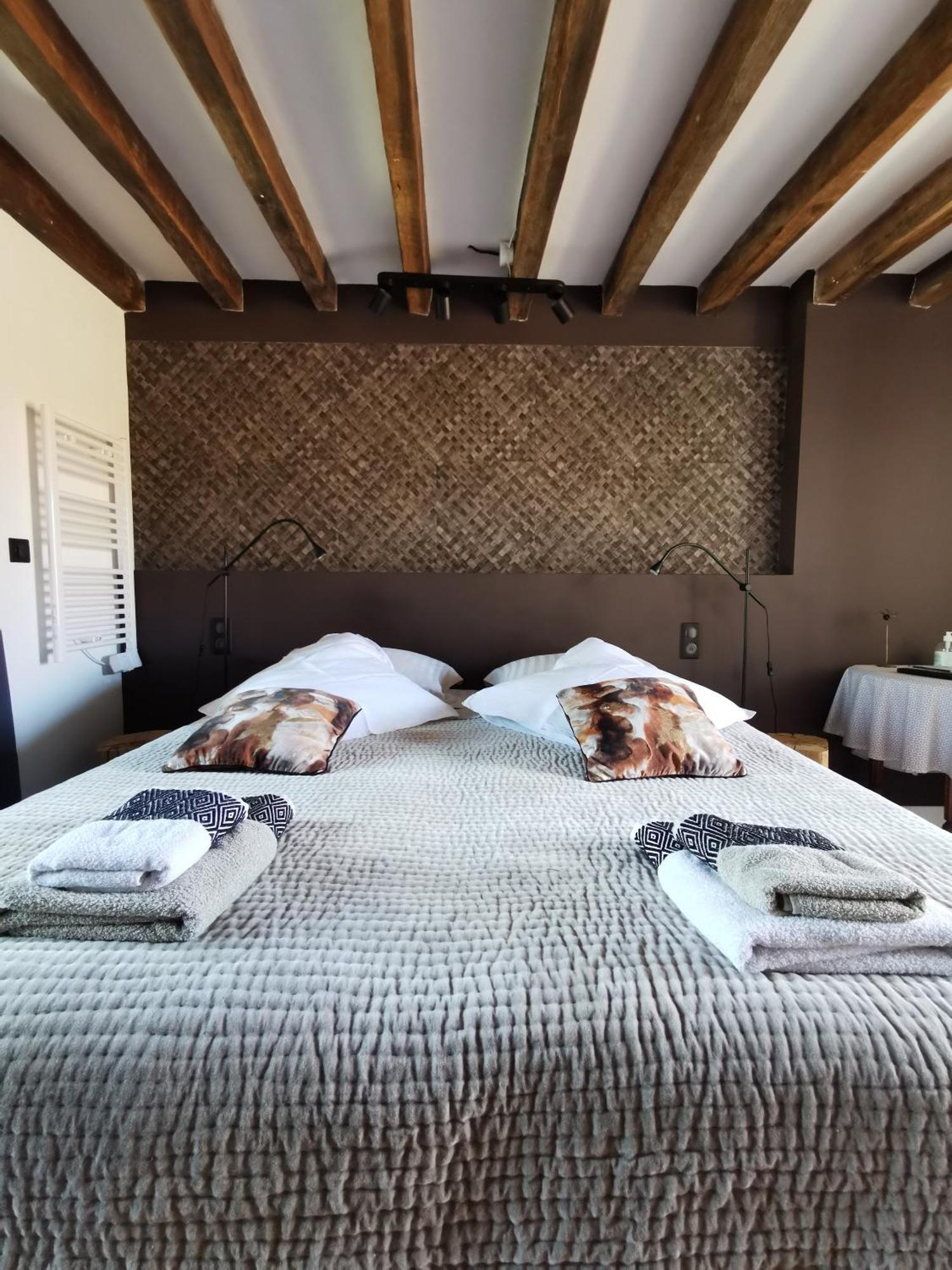 La Jacquiere Bed & Breakfast Шамон-сюр-Лоар Екстериор снимка